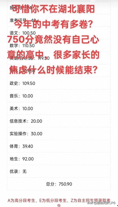 今日头条中考家长,助力孩子顺利跨入理想高中