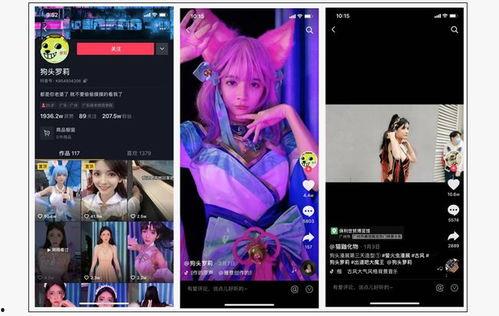 网红再次爆料视频下载,独家视频下载揭秘