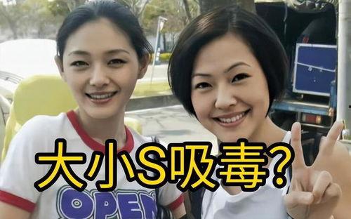 娱乐圈爆料大小s,大小S幕后故事大曝光