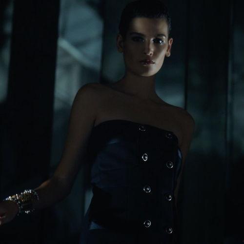 alma 明星,闪耀星河的璀璨新星