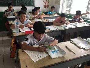 许昌头条襄城小学,展现青春风采