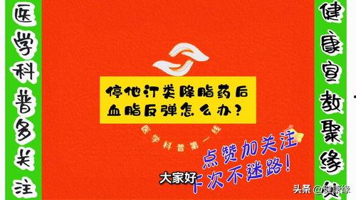 今日头条关于缘分的文章,揭秘命中注定的邂逅