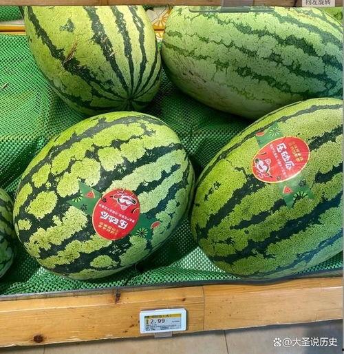 吃熙瓜熙瓜头像,萌趣头像背后的故事