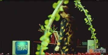 明星大侦探 郁金香,郁金香之谜，探秘花语背后的真相