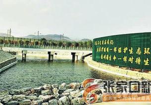 张家口阳原新闻头条,揭秘阳原县重大发展动态与民生工程进展