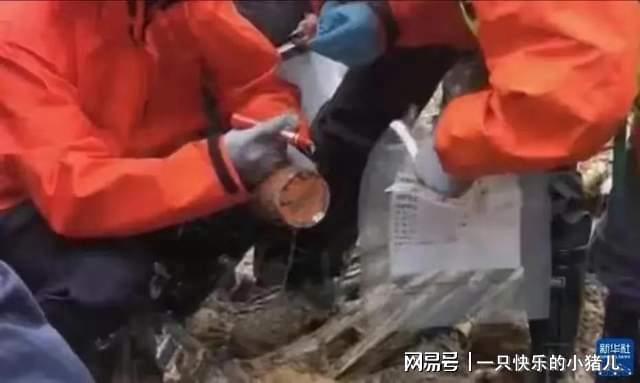 明星捐款东航空难